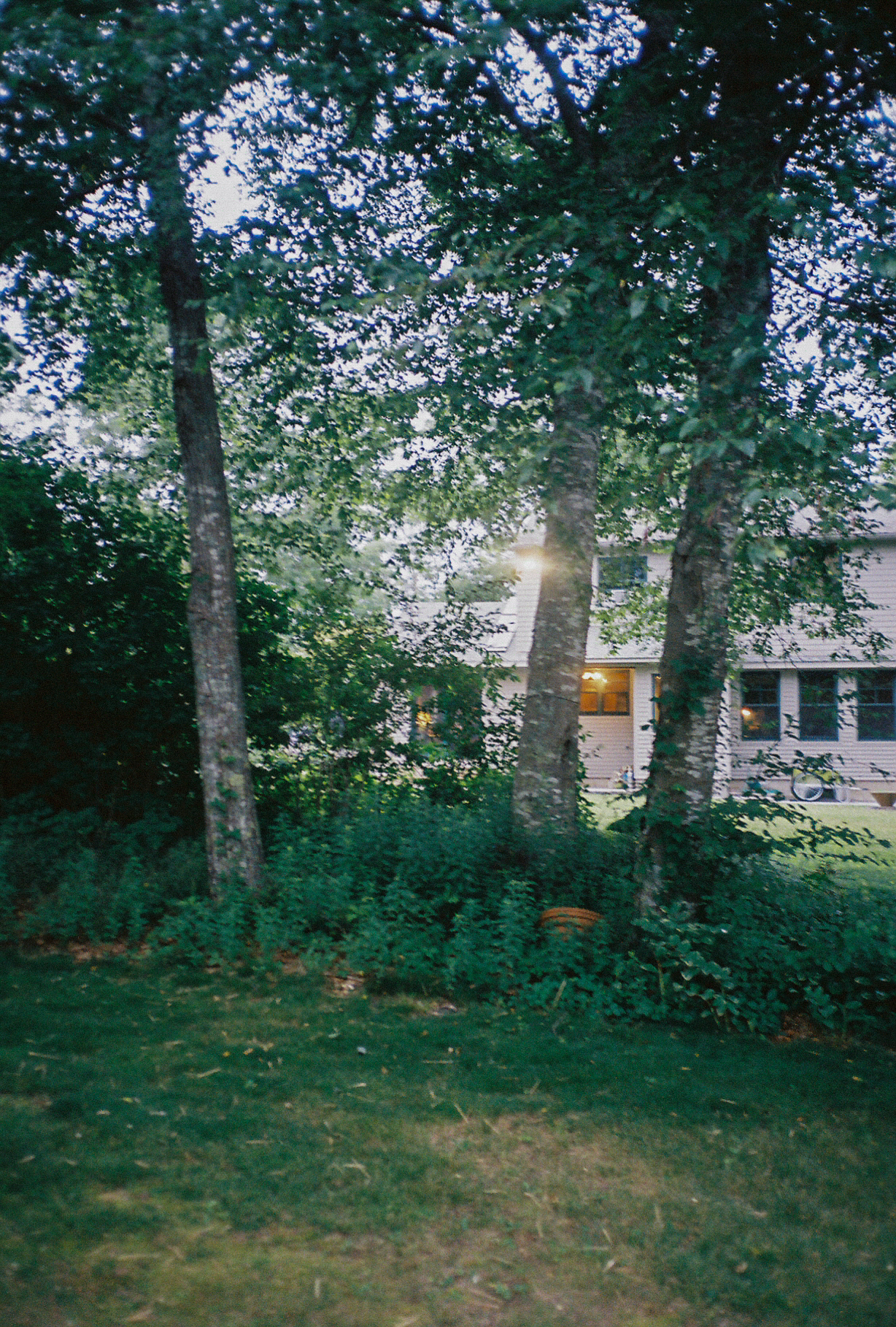 The location at dusk through trees